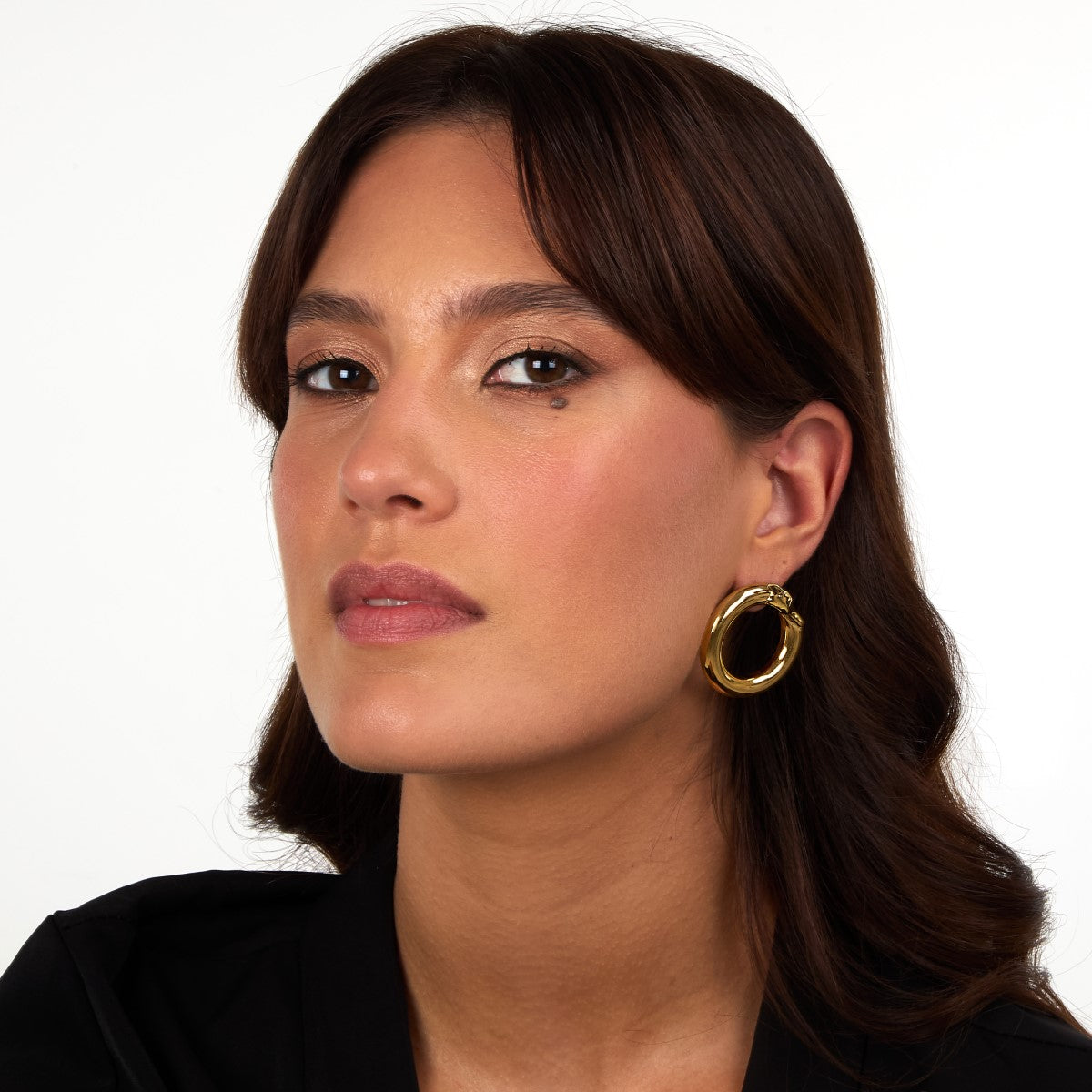 Kolczyki stalowe - koła - Trussardi T-Heritage Greydog