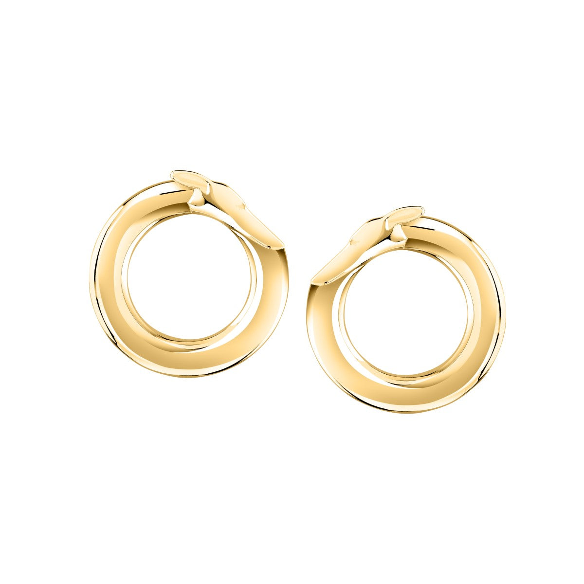 Kolczyki stalowe - koła - Trussardi T-Heritage Greydog