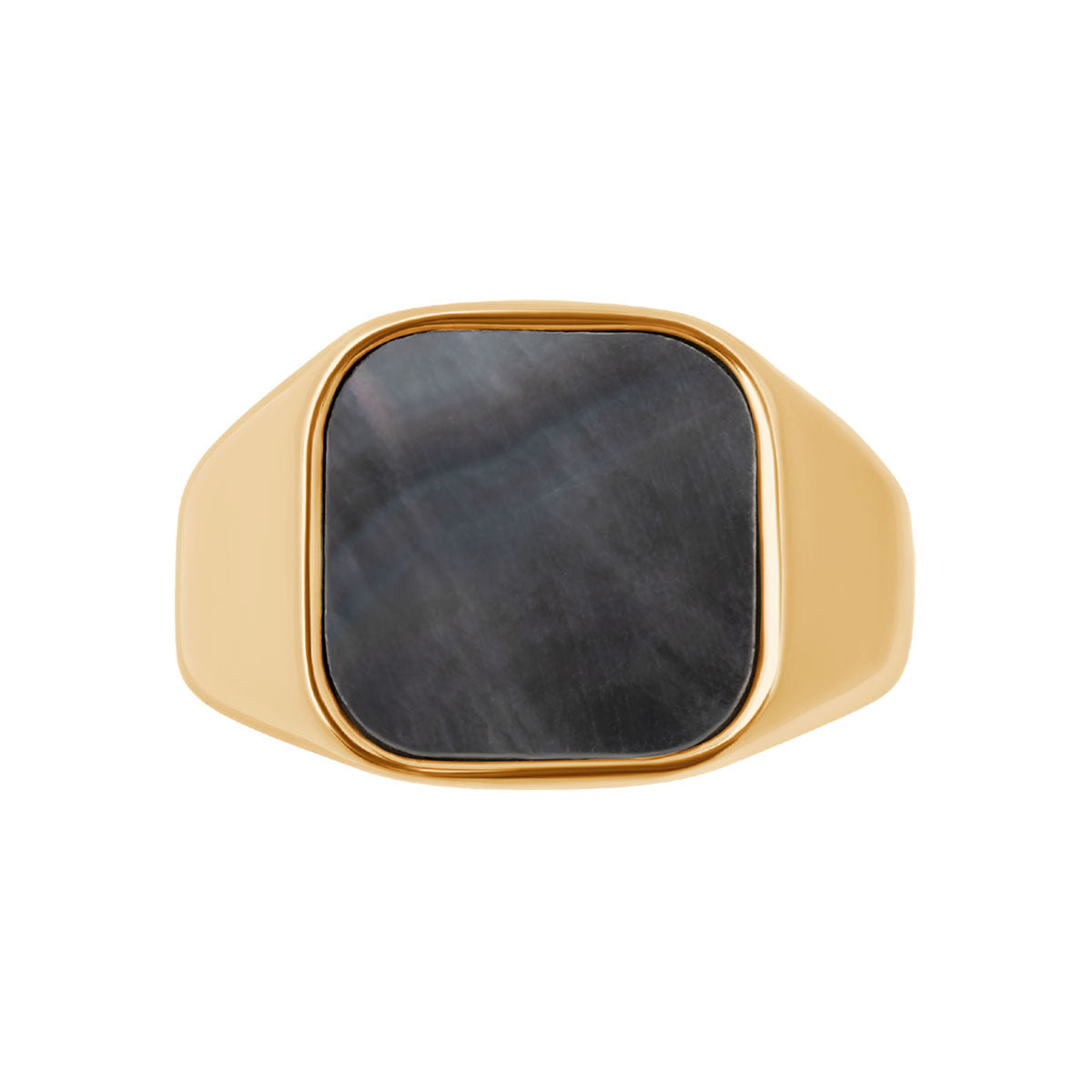 Sygnet stalowy z muszlą - Moderno